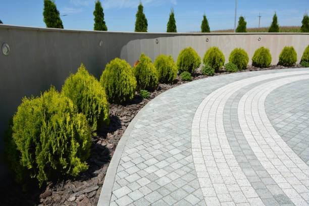 Reasons to Select Us for Your Driveway Paving Requirements in Windsor, MO